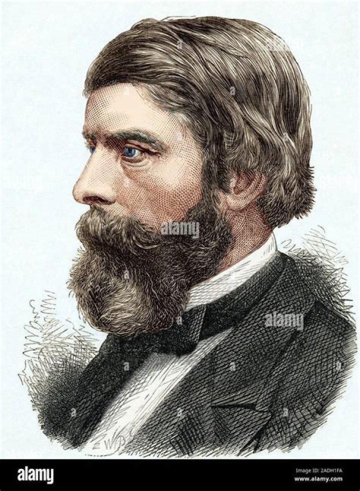 Alexander William Williamson