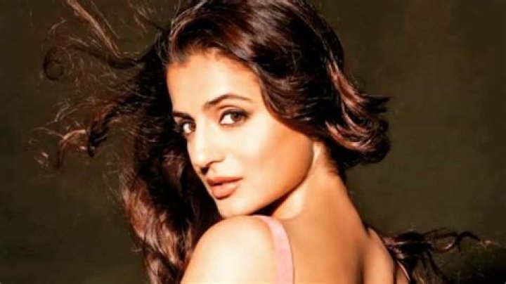 Ameesha Patel Net Worth