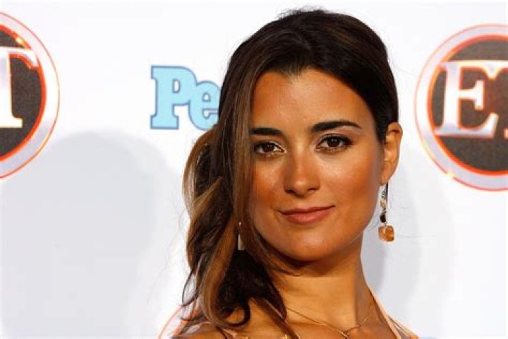 Cote de Pablo Net Worth