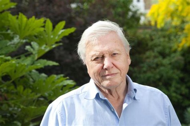 David Attenborough David Attenborough