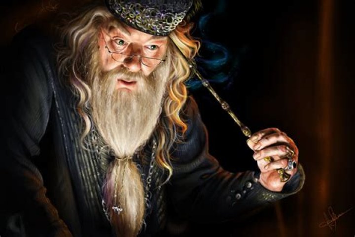 Dumbledore's hand from 'Harry Potter and the Half-Blood Prince'