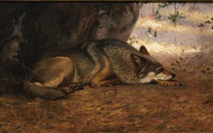 Ernest Thompson Seton Ernest Thompson Seton