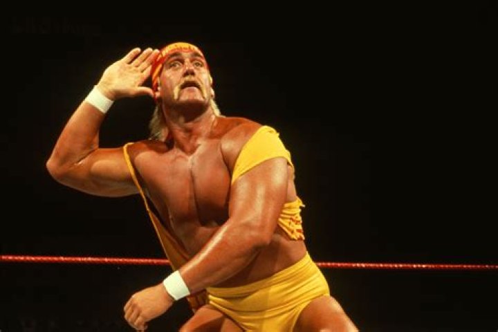 Hulk Hogan girlfriend: Who is Sky? Age, kids, Instagram 1 Hulk Hogan