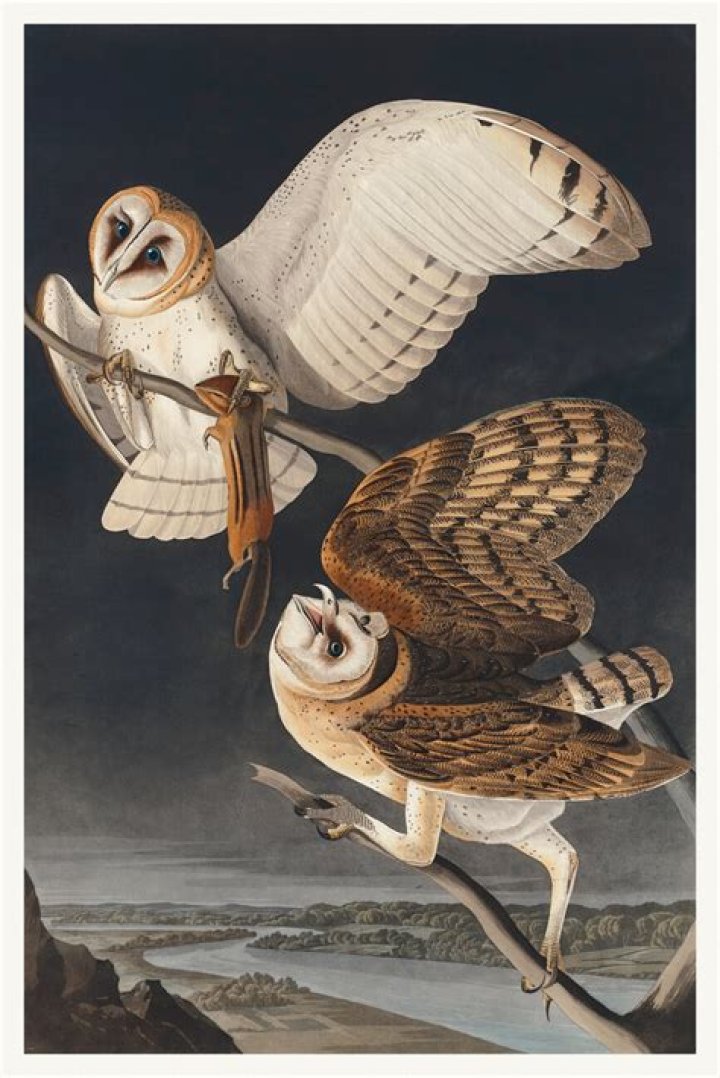 John James Audubon