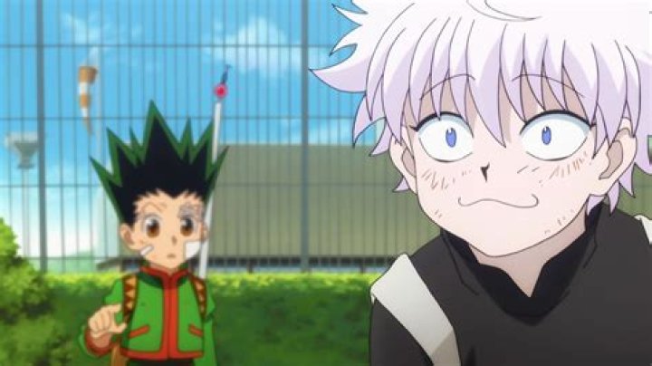 Killua looking like a cat and Gon in the back in episode 25 of Hunter x Hunter