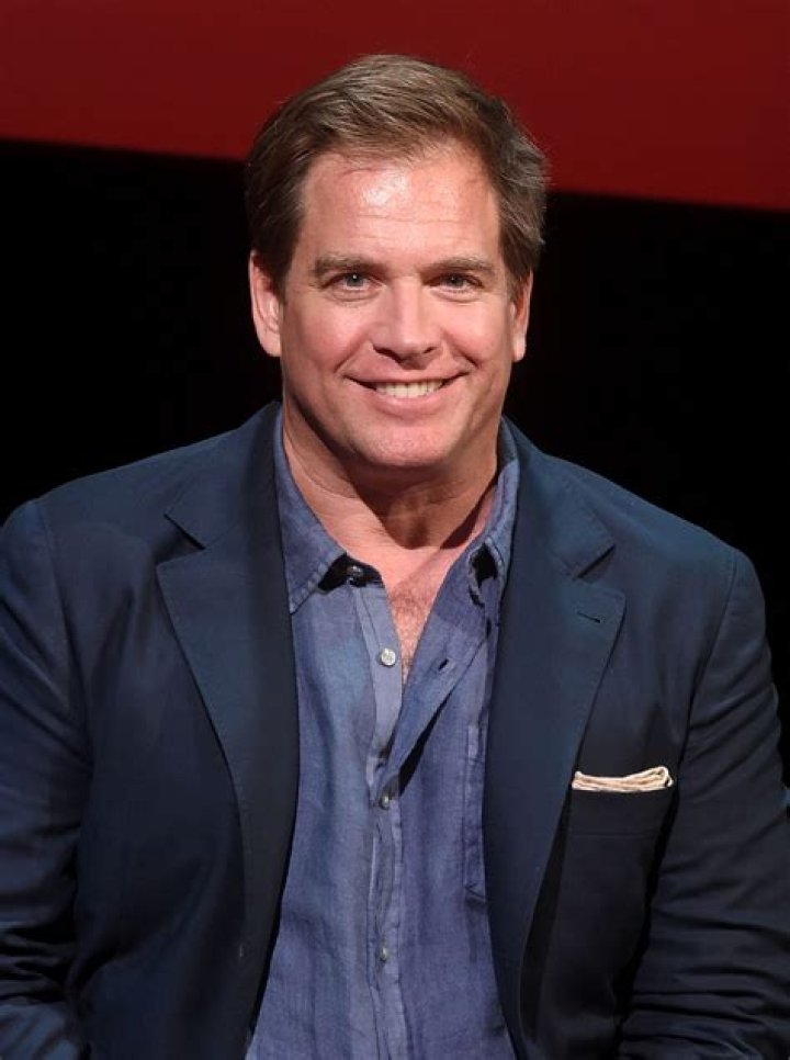 Michael Weatherly Net Worth