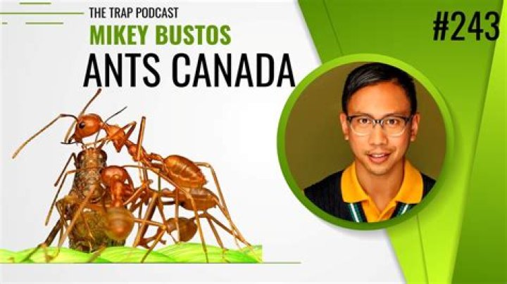 Mikey Bustos Youtuber overview