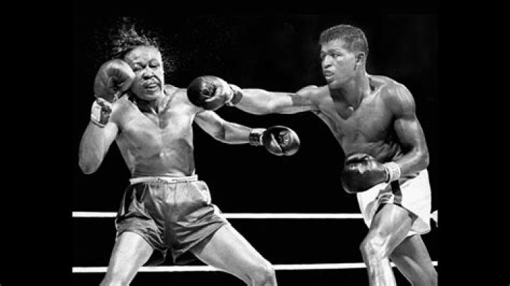 Sugar Ray Robinson Sugar Ray Robinson