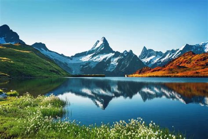 FIFA World Cup 2022: Which Group is Switzerland? 1 Switzerland