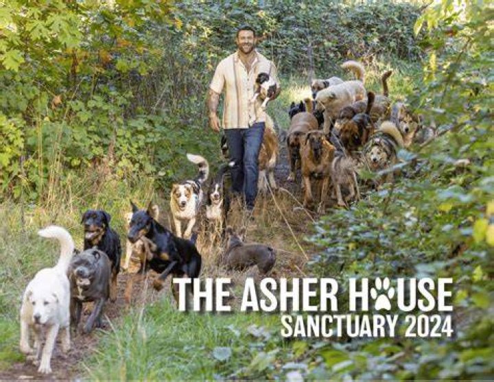 The Asher House video statistics