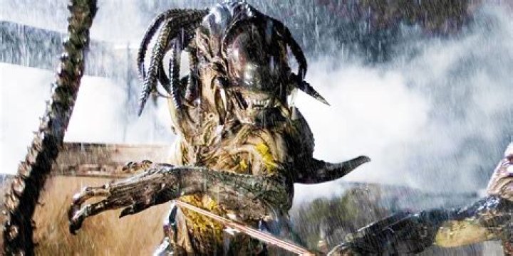The Predator Empire