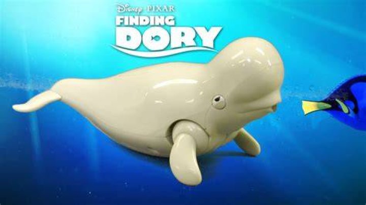 What is Bailey Finding Dory?